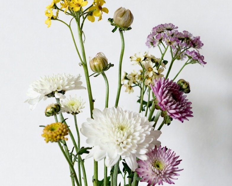ASSORTED NOVELTY