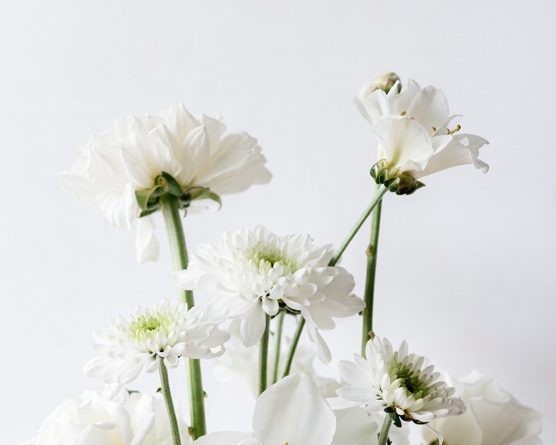 WHITE NOVELTY BQ