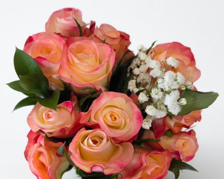 Rose BQ Dozen Color Rose