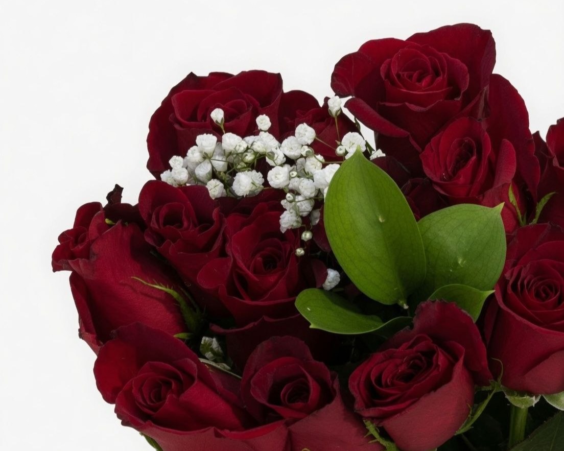Rose BQ Dozen Red/Color
